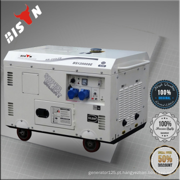 10KVA gasolina Gerador Set OHV motor 220V preço barato